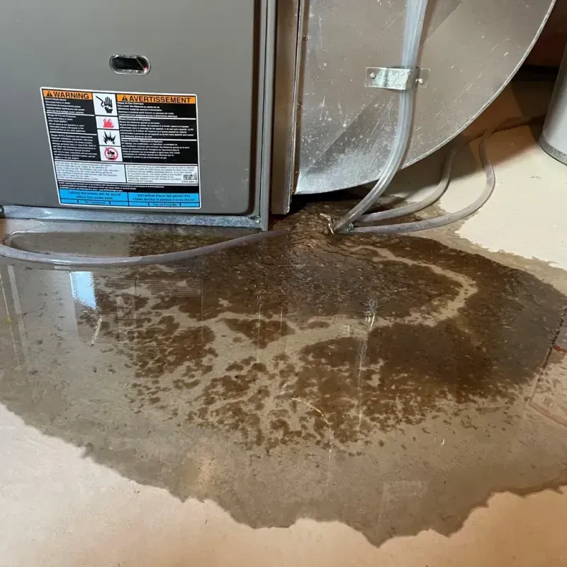 Appliance Leak Cleanup in Parsonsfield, ME